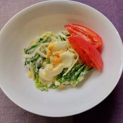 たべれぽの写真