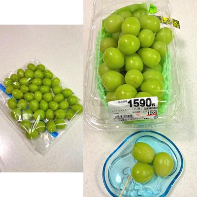 たべれぽの写真