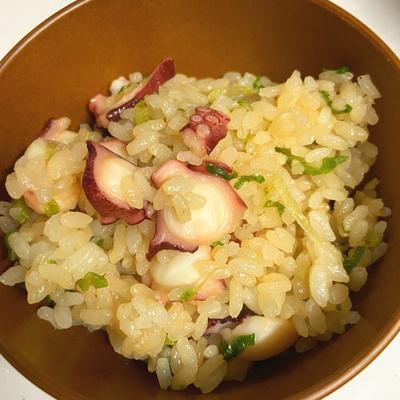 たべれぽの写真