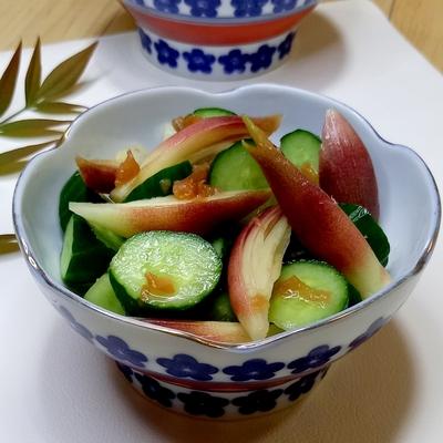 たべれぽの写真