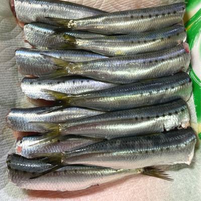 たべれぽの写真