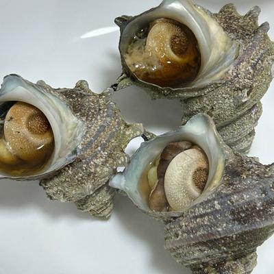 たべれぽの写真