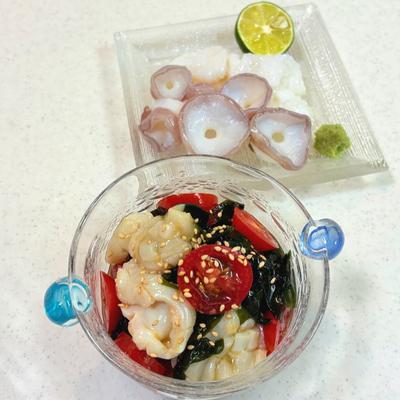 たべれぽの写真