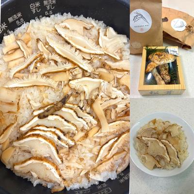 たべれぽの写真