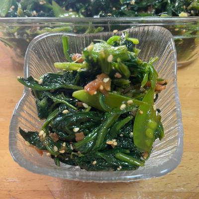 たべれぽの写真