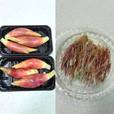 たべれぽの写真