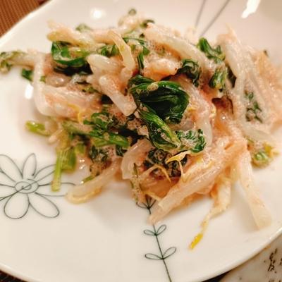 たべれぽの写真