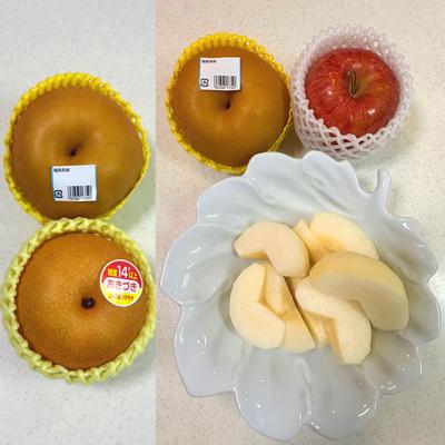 たべれぽの写真