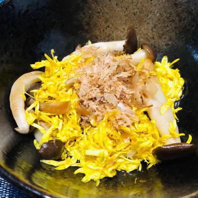 たべれぽの写真