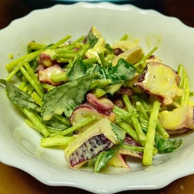 たべれぽの写真