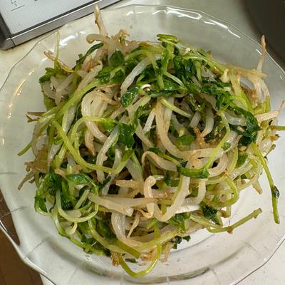 たべれぽの写真