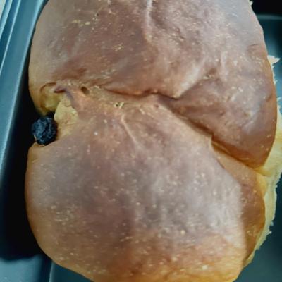 たべれぽの写真