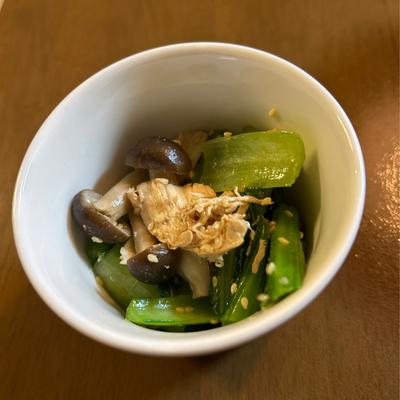 たべれぽの写真