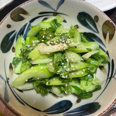 たべれぽの写真