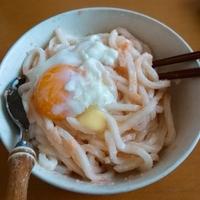 たべれぽ