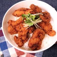 新潟名物 タレかつ丼