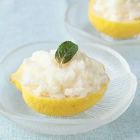 レモンまるごと レモンヨーグルトシャーベット
