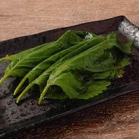 簡単 エゴマの和風しょうゆ漬け