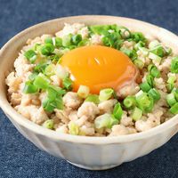 新生姜たっぷり 鶏そぼろごはん