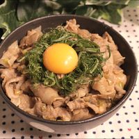 ガッツリ男子ごはん!ガリポン丼