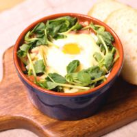 豆苗で巣ごもり卵