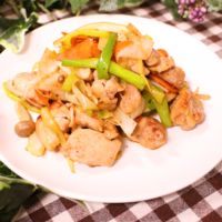 長ねぎたっぷり!鶏肉と長ねぎの塩麹炒め