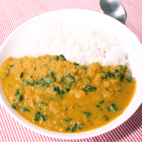 野菜の旨み!ほうれん草カレー