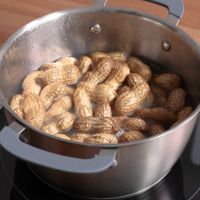 生落花生のゆで方 作り方 レシピ クラシル