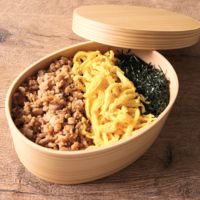 北九州名物 かしわめし弁当