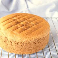基本のジェノワーズカカオ