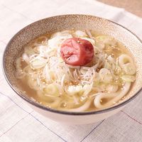 体ぽかぽか たっぷりねぎと生姜の温うどん