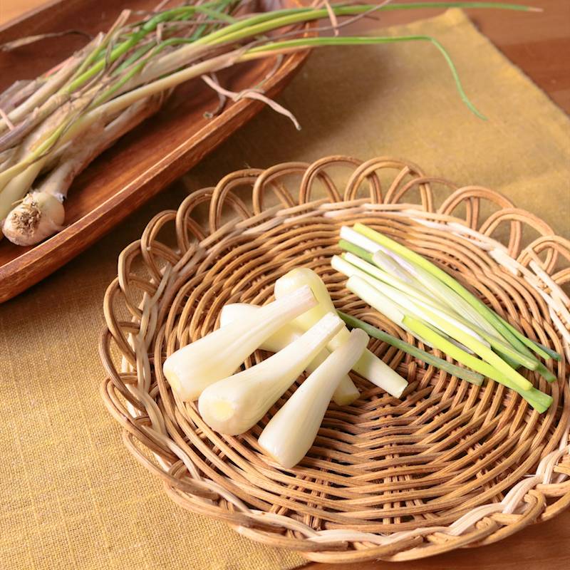 島らっきょうの塩浅漬け 作り方 レシピ クラシル