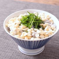 しらすと天かすのだし茶漬け