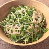 ゆず胡椒香る 豆苗とツナれんこんのマヨサラダ
