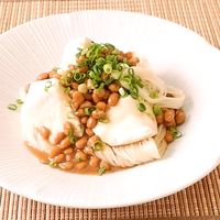 さっぱり 冷奴のせ納豆無限そうめん